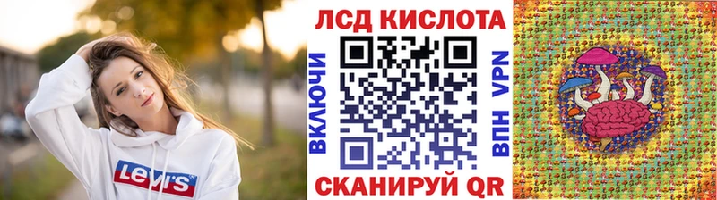 где купить   Грязовец  KRAKEN tor  Наркотические марки 1,8мг 