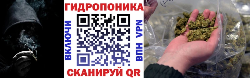 купить наркотик  Грязовец  Каннабис LSD WEED 